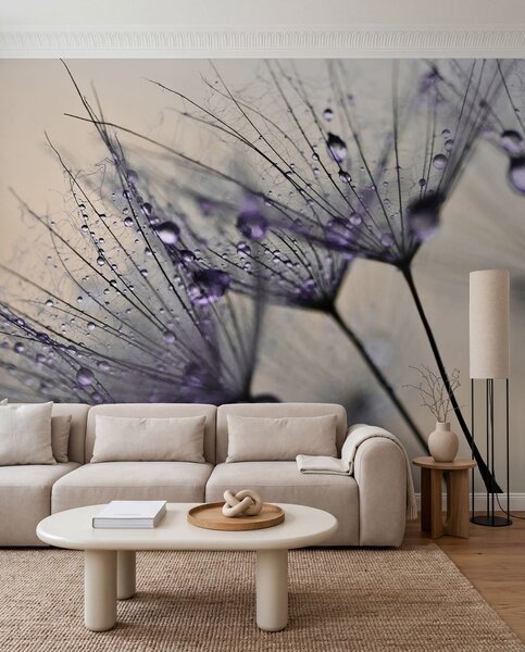 Tapety Fialová rosa na púpave, Fototapety s kvetmi, u57557v3 : Uwalls.sk