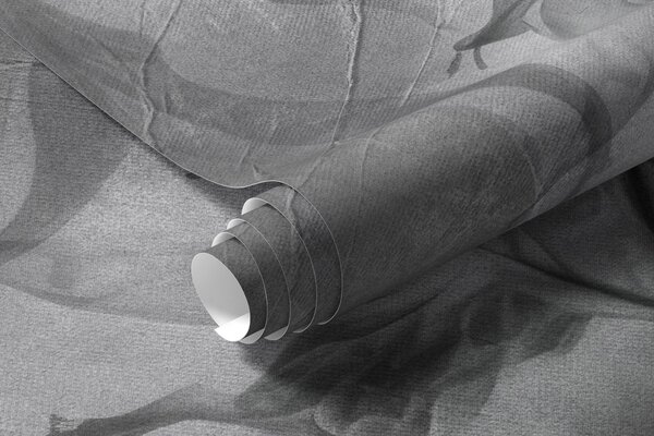 Tapety Konáre v striebornom tieni, Fototapety s kvetmi, Fototapety veľké kvety, u93927v2 : Uwalls.sk