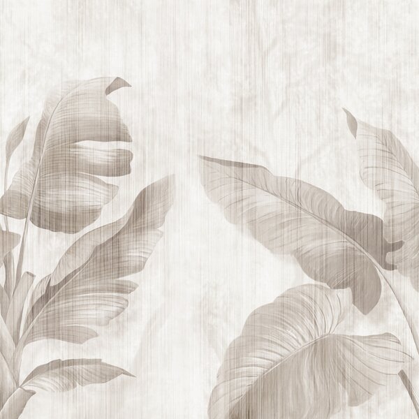 Tapety Tiene banánových listov I, Fototapety s lesom, Fototapety tropické, u00299d1 : Uwalls.sk