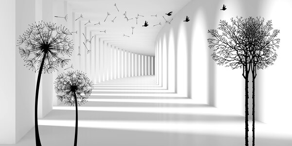 Tapety Púpavový portál II, Fototapety čiernobiele, u37803d2 : Uwalls.sk