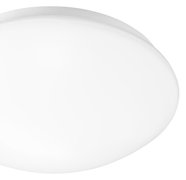 Toolight - LED stropná lampa 33cm okrúhla APP756-1C, biela, OSW-06514