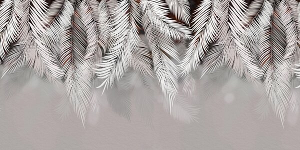 Tapety Palmový záves na kakaovej II, Fototapety s lesom, Fototapety tropické, u48556v4d2 : Uwalls.sk