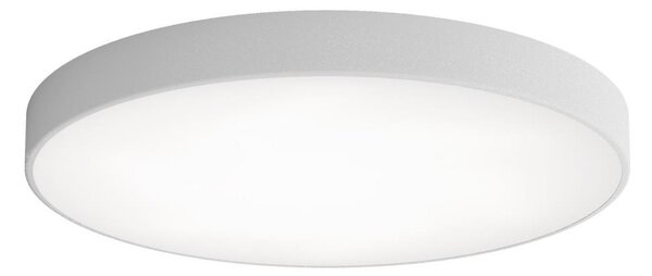 LED Stropné svietidlo CLEO LED/96W/230V 3000K pr. 80 cm šedá