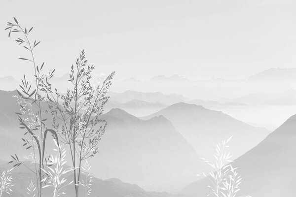 Tapety Výhľad na hory s rastlinami a kvetmi sivej farby, Fototapety s prírodnými motívmi, w07910v3 : Uwalls.sk