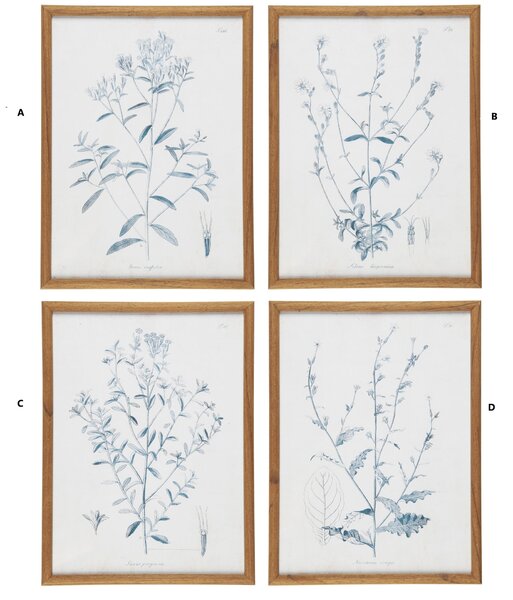 Obraz v ráme Green Flower Motif 30 × 40 cm A