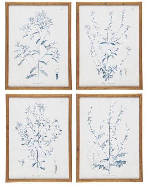 Obraz v ráme Green Flower Motif 30 × 40 cm A