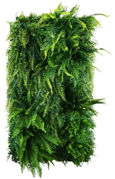 Vertical garden Easy Fern