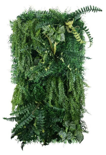 Vertical garden Fresh Green
