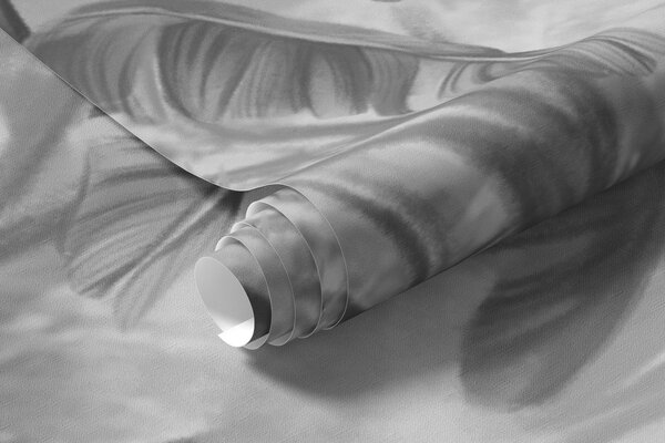 Tapety Dažďový prales v jemných sivých tónoch, Fototapety s prírodnými motívmi, w01931v4 : Uwalls.sk