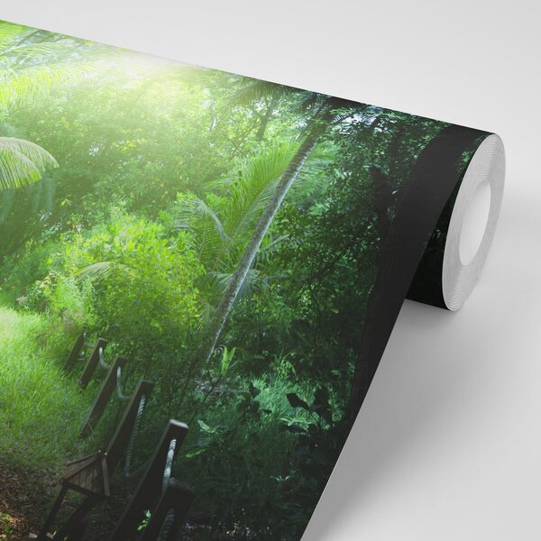 Fototapeta cestička na ostrove Seychely