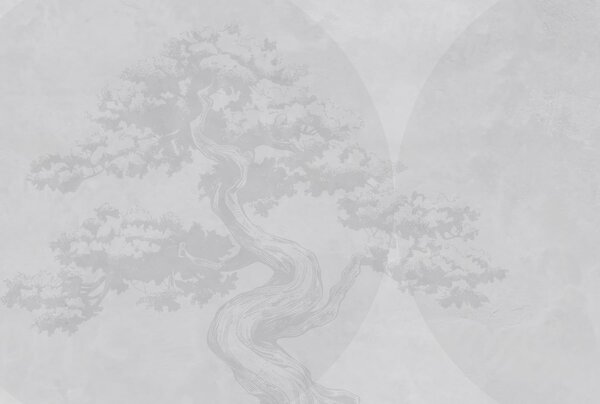 Tapety Bonsai strom minimalizmus geometria grunge pozadie, Fototapety s prírodnými motívmi, w08557v1 : Uwalls.sk