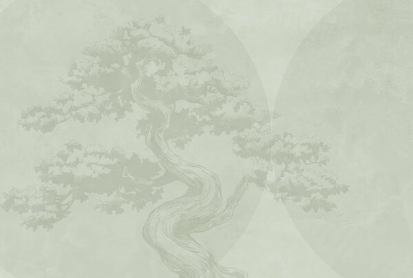 Tapety Bonsai strom minimalizmus geometria grunge pozadie, Fototapety s prírodnými motívmi, w08557v2 : Uwalls.sk