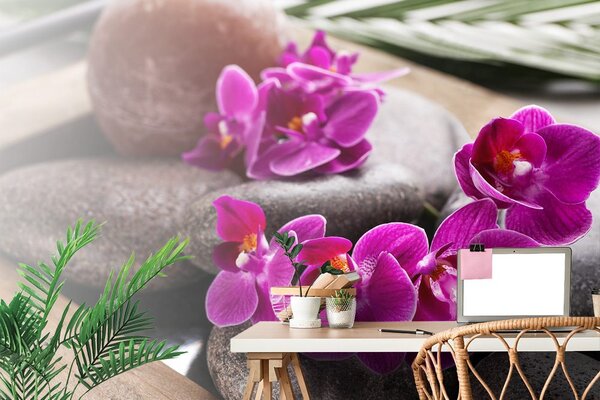 Fototapeta nádherná orchidea a Zen kamene