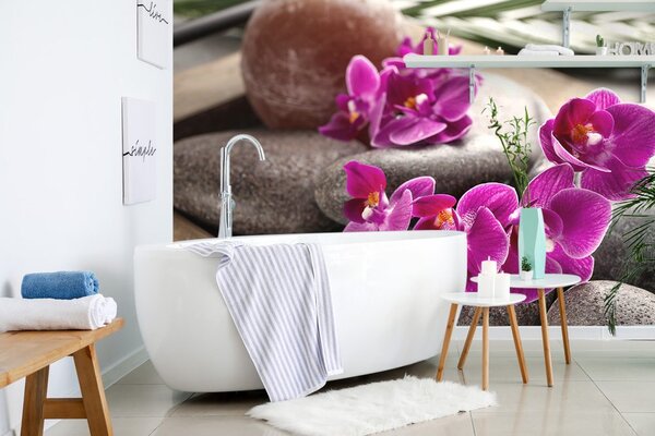 Fototapeta nádherná orchidea a Zen kamene