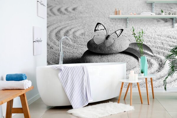Fototapeta čiernobiely motýľ na Zen kameni