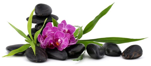 Tapeta fialová orchidea v Zen zátiší