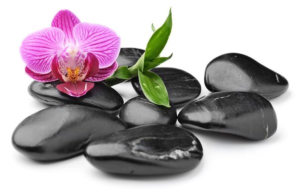Tapeta masážne wellness kamene