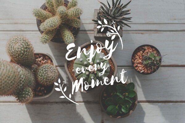 Tapeta s citátom - Enjoy every moment