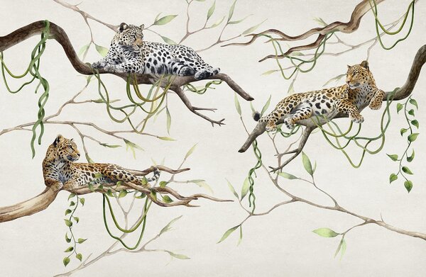 Tapety Leopardy na stromoch džungle, liany, tropické, divoké zvieratá, prírodná paleta farieb, Fototapety zvieratá, w03146 : Uwalls.sk
