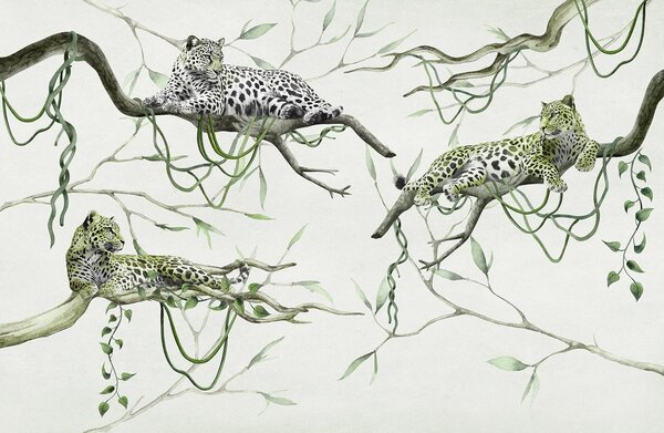 Tapety Leopardy na stromoch džungle, liany, tropické, divoké zvieratá, zelená paleta, Fototapety s lesom, Fototapety džungľa, w03146v1 : Uwalls.sk