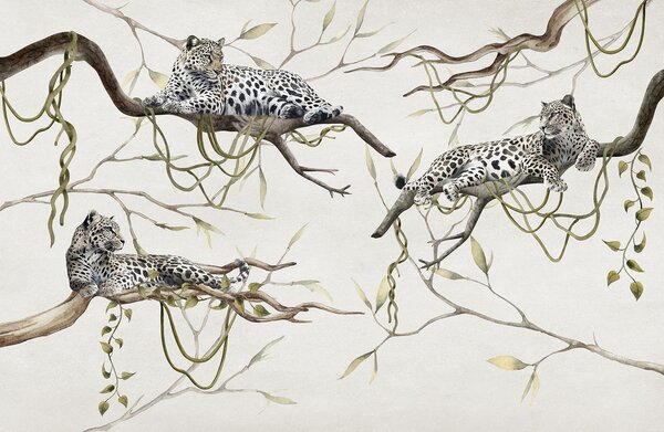 Tapety Leopardy na stromoch džungle, liany, tropické, divoké zvieratá, pastelová paleta farieb, Fototapety zvieratá, w03146v4 : Uwalls.sk