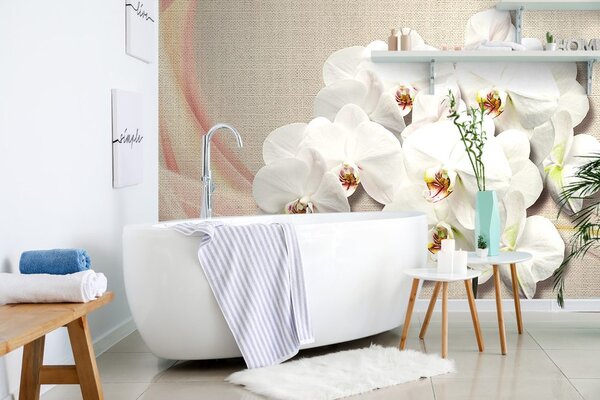 Tapeta biela orchidea na plátne