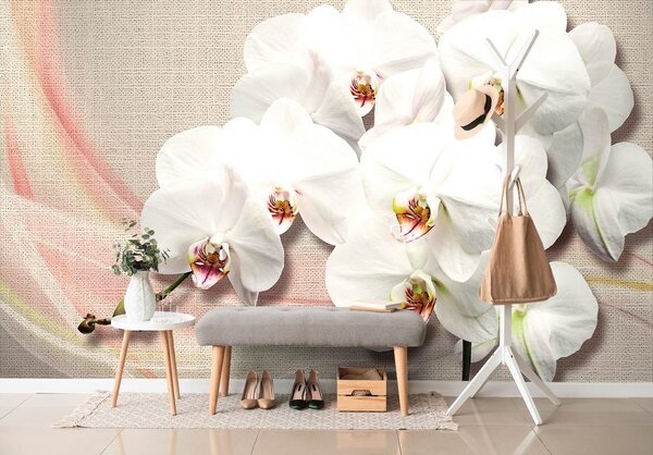 Tapeta biela orchidea na plátne