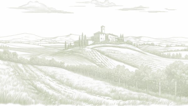 Tapety Vinica v šalviovej kresbe, Fototapety provence, w03349v2 : Uwalls.sk