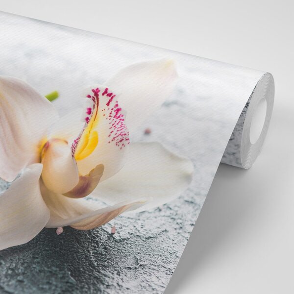 Fototapeta kvety orchidey