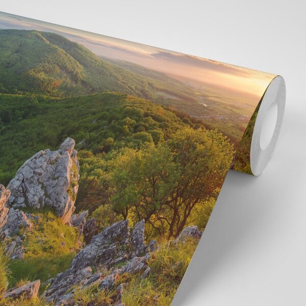 Fototapeta príroda zaliata slnkom