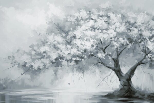 Tapety Stromy s bielymi kvetmi, Fototapety s lesom, Fototapety stromy, w09193v2 : Uwalls.sk