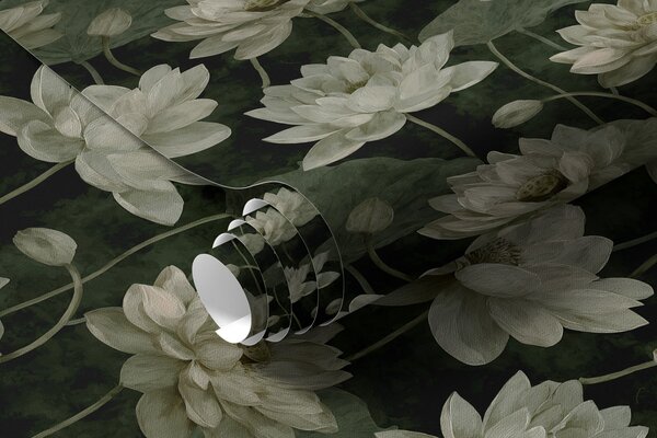 Tapety Lotus, Tapety kvety, a00420v2 : Uwalls.sk