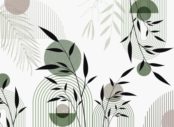 Tapety Botanické kruhy, Fototapety geometria, w09384 : Uwalls.sk