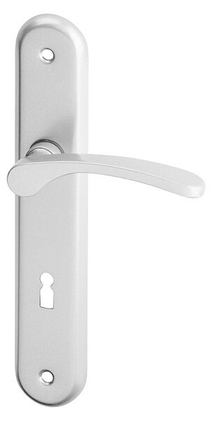 Dverné kovanie ACT Viola (strieborná), kľučka-kľučka, Otvor pre obyčajný kľúč BB, AC-T Strieborná, 72 mm
