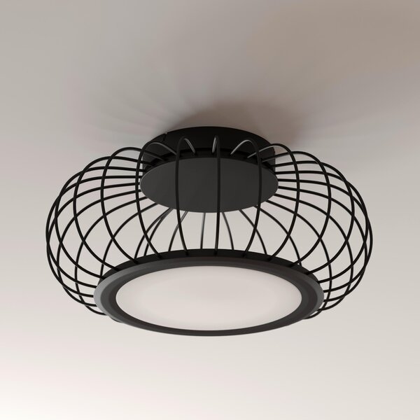 STROPNÉ LED SVIETIDLO, 55/23 cm Dieter Knoll - Interiérové svietidlá