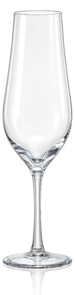 Bohemia Crystal Poháre na šampanské Tulipa 170ml (set po 6ks)