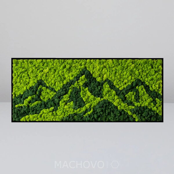 Machový obraz - obdĺžnik - MONTARA