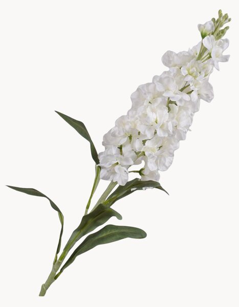 Rastlinné dekorácie Matthiola Inca, 2 ks