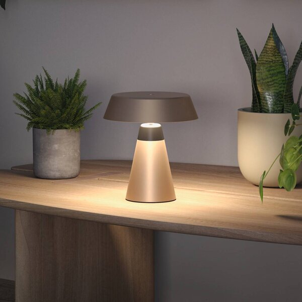 Stolová LED lampa Paulmann Lirox s a akumulátorom, béžová/čierna, 20 cm,, Krémová / jantárovo žltá, Obývacia izba / jedáleň, kov, Moderný, Stojacie svietidlo