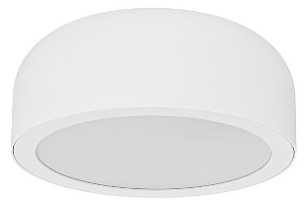Open Design OR85884- LED stropné svietidlo CEDRONE LED/8W/230V CCT priem. 12 cm biela
