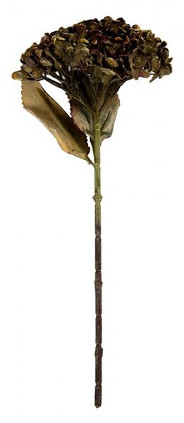 Zelená umelá dekorácia sušená kvetina hortenzie - 15*15*47 cm - Clayre & Eef