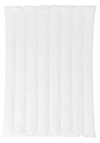 ZIMNÁ PRIKRÝVKA, 135/200 cm, duté vlákno Centa-Star - Prikrývky & vankúše