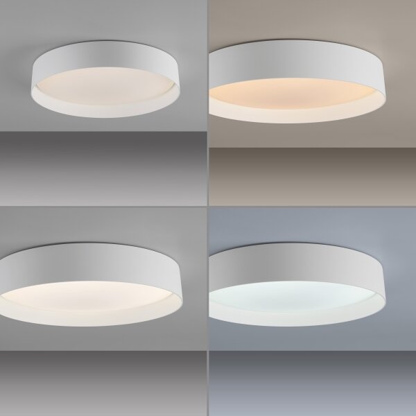 Schöner Wohnen 14594-16 - LED stmievateľné stropné svietidlo TAVOLI LED/20W/230V biela + diaľkový ovládač