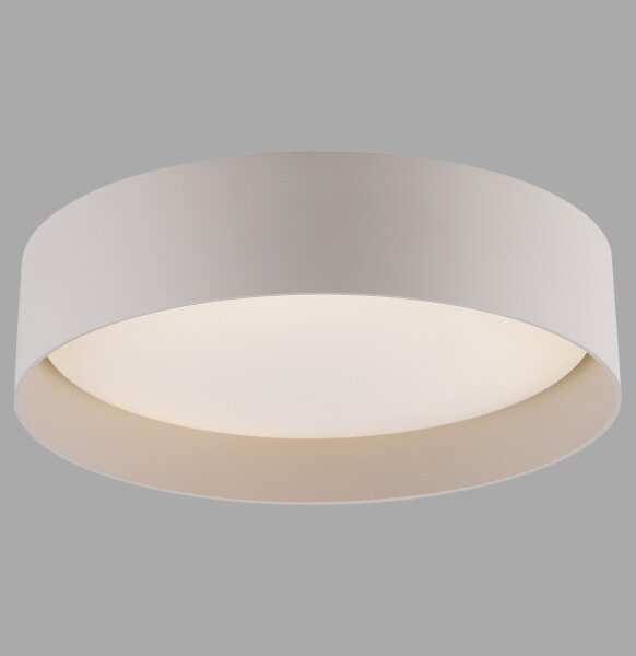Schöner Wohnen 14593-39 - LED stmievateľné stropné svietidlo TAVOLI LED/10W/230V sivá+DO