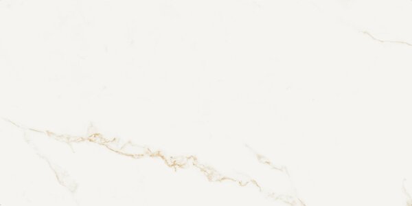 Finezza Oro Natural 60x120 R