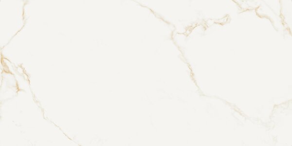 Finezza Oro Natural 60x120 R