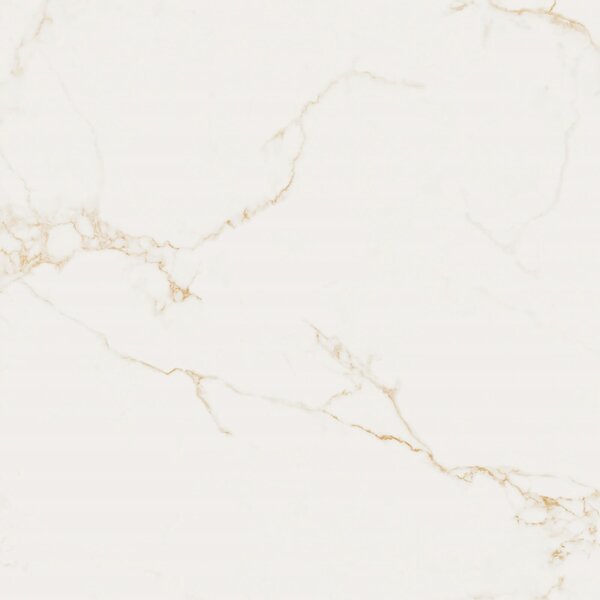 Finezza Oro Pulido 120x120 R