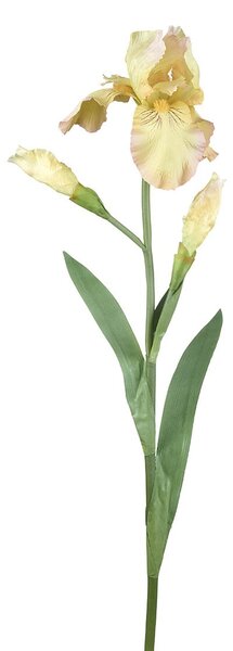 Dekorácia umelý žltý kosatec Iris Pale - 81 cm - Ostatní