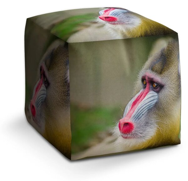 Sablio Taburet Mandril - 40x40x40 cm