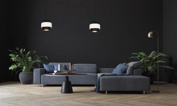 Luster na lanku NESS 2xE27/60W/230V pavúk čierna/biela
